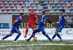 Fotogalerija Gorica - Slaven Belupo