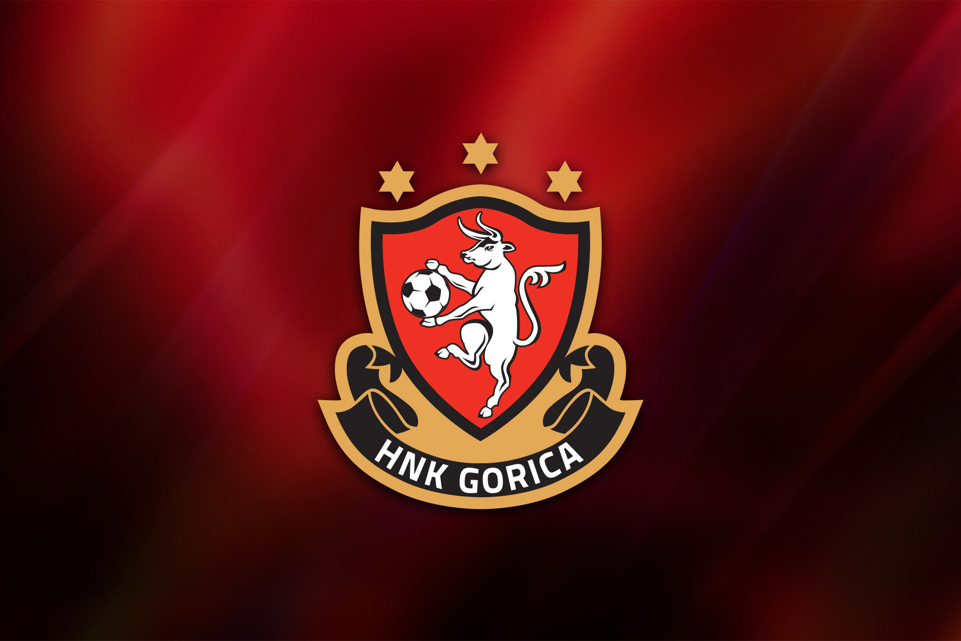 Financijski izvještaj HNK Gorica za 2019. godinu